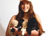 En Uygun Toy Poodle Yavrular