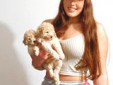 Üst Kali̇te Toy Poodle Bebekler