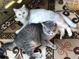 Son 2 Yavrumuz