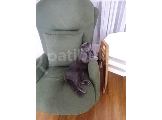Oğlumuz Dumana Eş Ariyoruz görsel