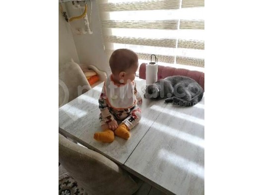 Oğlumuz Dumana Eş Ariyoruz