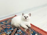 Uygun Fi̇yat