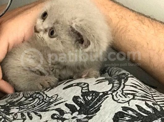 Güzel Yavrumuz 48 Günlük Eşyaları Ile 2000Tl görsel