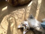 Çok Oyuncu Anne Yanından Sağlıklı Erkek Bebek