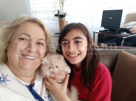 Dostümüza Yuva Arıyoruz