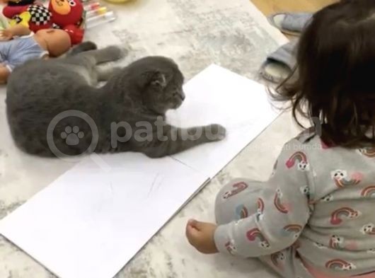 1 Yaşında Erkek Bebeğimiz görsel