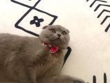 Tina