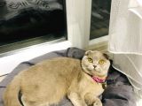 Tina