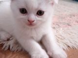 Uyguna Bu Bebeklere Aile Olmak Ister Misiniz