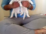 A Kali̇te Bri̇ti̇shler