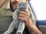 Babalık Hakkımız Çok Tatlı