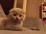 Babalık Hakkımız Çok Tatlı