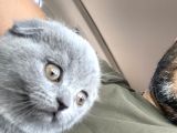 Babalık Hakkımız Çok Tatlı