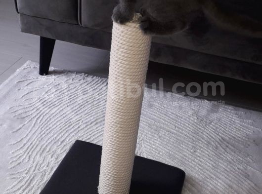 2 Aylık Bebeğimize Yuva Arıyoruz görsel