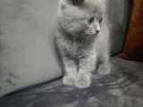 Yavrumuz Yenı Yuvasını Beklıyor