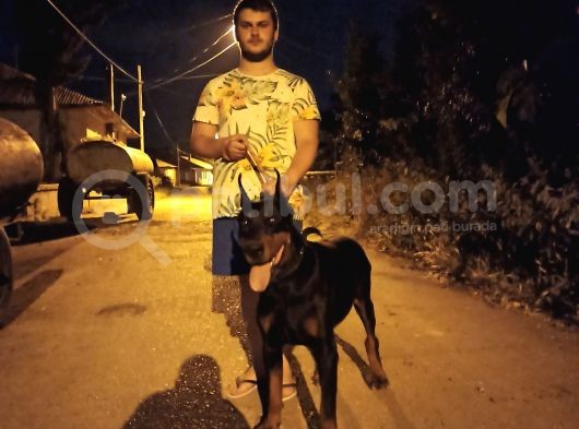 2.5 Yaşinda Yer Si̇ki̇nti̇si̇ndan Dolayi görsel