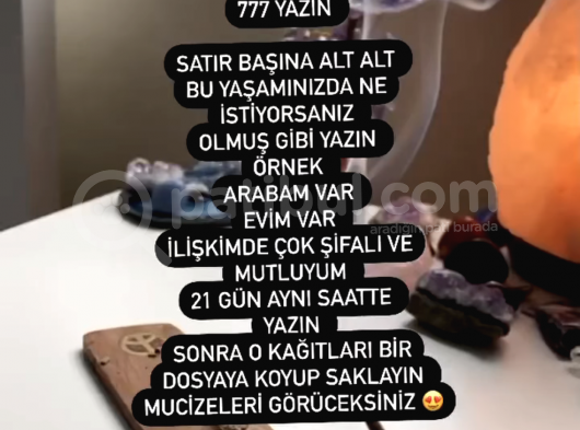 Zorunda Kaldığım İçin Sahiplendiriyorum  görsel