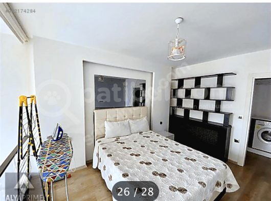 Zorunda Kaldığım İçin Sahiplendiriyorum  görsel