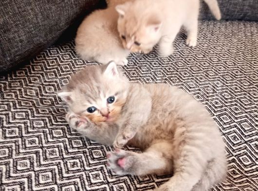30 Günlük görsel