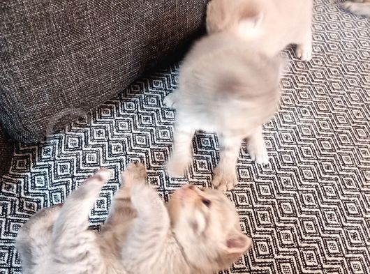 30 Günlük görsel