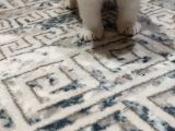 2 Tane Güzel Minikler