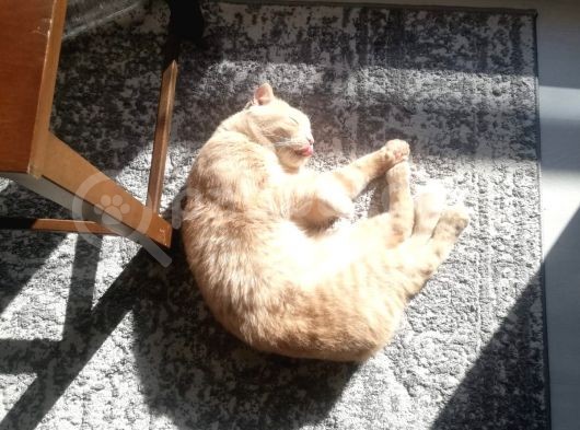 Oskar 3 Yaşında Erkek görsel