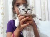 Dünya Tatlısı Yavrular