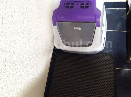 Kontes Kızımızı Sahiplendiricez görsel