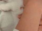 Annemin Hastalığı Nedeni Ile Oğlumuz Gibi Baktığımız Kediyi Takip Şartıyla Uygun Vereceğiz