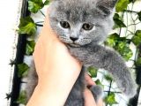 Çocuk Sahi̇bi̇ Olacağimiz İçi̇n Sahi̇plendi̇ri̇yoruz