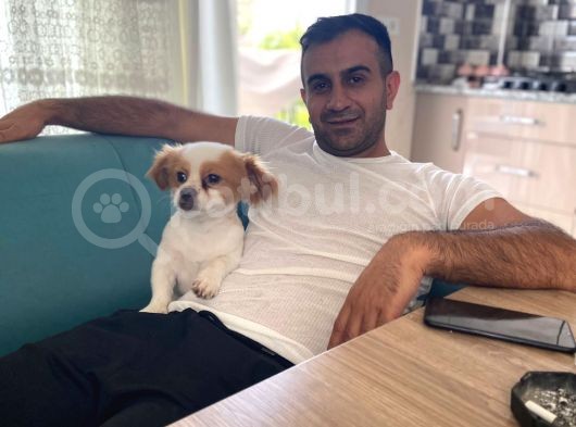 Saglik  Durumu Iyi  Ve Çok Hiperaktif görsel