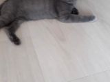 2 Aylık Bebeğimize Yuva Arıyoruz