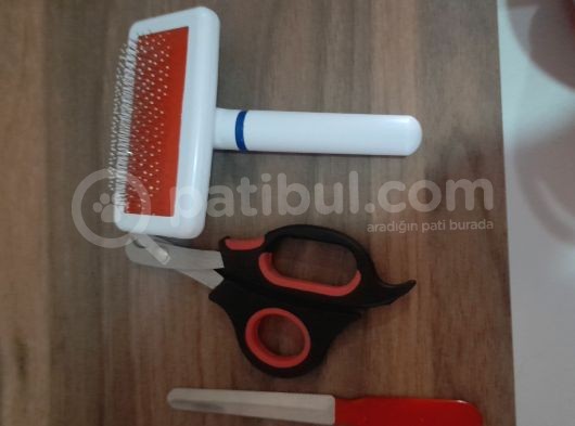 2 Aylık Kedim Ful Mama Ful Kum Ve Taşıma Gibi Tüm Aldığım Urunleride Veriyorum görsel