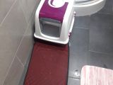 2 Aylık Kedim Ful Mama Ful Kum Ve Taşıma Gibi Tüm Aldığım Urunleride Veriyorum