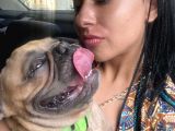 Egzotic French Bulldog Pablitom