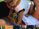 Egzotic French Bulldog Pablitom