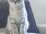 Akıllı Tatlı Oyuncu Bir Kiz