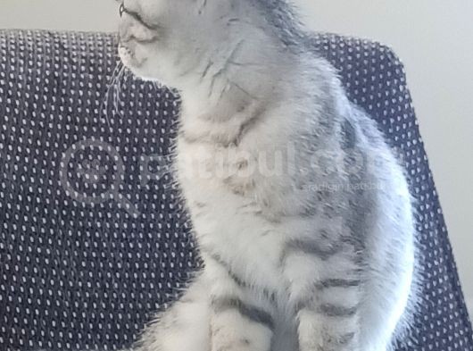 Akıllı Tatlı Oyuncu Bir Kiz görsel