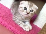 Yavrularimiza Yuva Ariyoruz