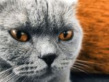 1 Yaşında Olan Çocuklarımızı Sahiplendiriyoruz