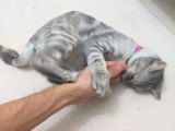 1 Yaşında Aşıları Tam Disi
