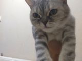 1 Yaşında Aşıları Tam Disi