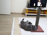 20 Aylık Oğlumuz Efe