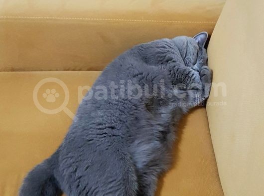20 Aylık Oğlumuz Efe görsel