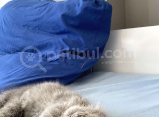20.05.2022 Erkek görsel