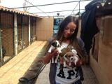 Jack Russel Terri̇er Yavrulari Mama Ve Malzeme Kampanyali