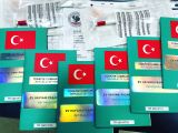 Safkan Ve Şecereli Yavrularımız Hazır