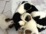 Küçük Bebeklerim Rezerve’ye Açıldı