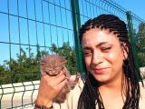 Chocolate Li̇lac Ve Golden Bri̇ti̇sh Shorthai̇r Yavrularimiz