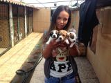 Jack Russell Yavruları Mama Ve Malzeme Kampanyalı